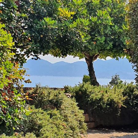 Haus Mit Garten Ueber Der Bucht Von Cannes Vallauris Kültér fotó