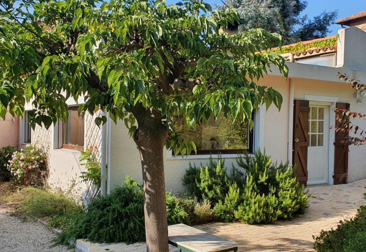 Haus Mit Garten Ueber Der Bucht Von Cannes Vallauris Kültér fotó