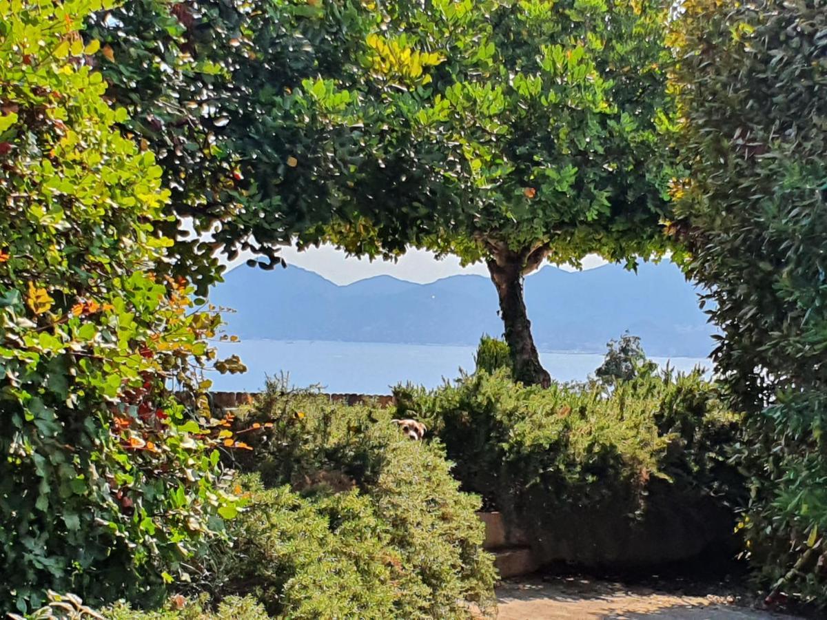 Haus Mit Garten Ueber Der Bucht Von Cannes Vallauris Kültér fotó
